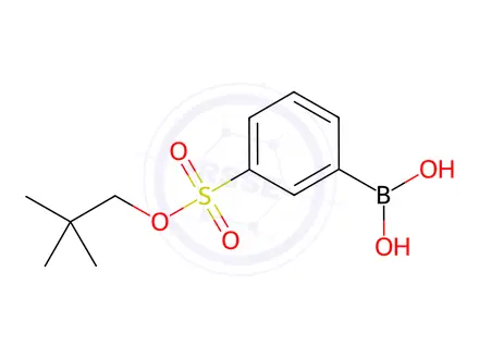 Chemical structure of [3-(2,2-dimethylpropoxysulfonyl)phenyl]boronic acid