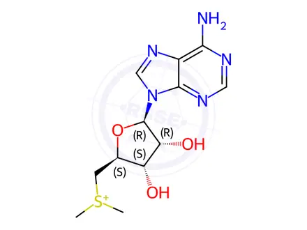 Chemical structure of Ademetionine 1,4-Butanedisulfonate Impurity 14