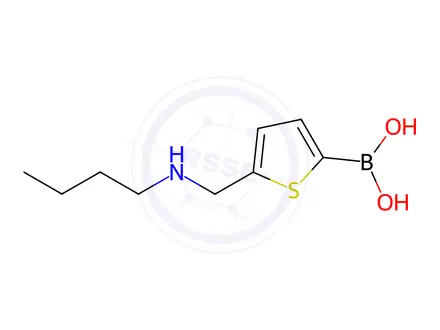 Chemical structure of (5-((Butylamino)methyl)thiophen-2-yl)boronic acid