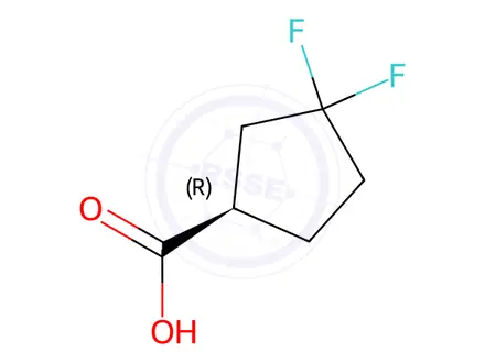 Chemical structure of (R)-3,3-Difluorocyclopentanecarboxylic Acid