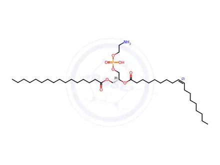 Chemical structure of 16:0-18:1 PE