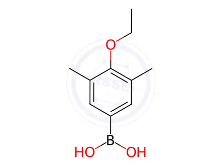 Chemical structure of (4-Ethoxy-3,5-dimethylphenyl)boronic acid