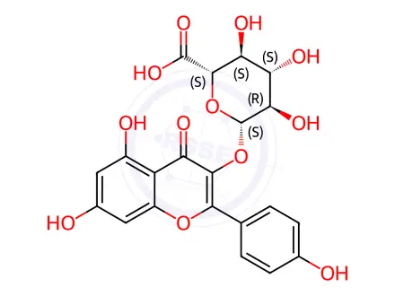Chemical structure of Kaempferol 3-glucuronide
