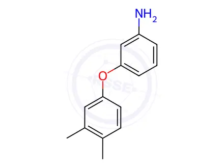 Chemical structure of 3-(3,4-DIMETHYL-PHENOXY)-PHENYLAMINE