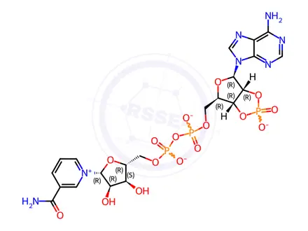 Chemical structure of 2':3'-CYCLIC NADP SODIUM SALT