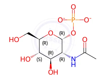 Chemical structure of N-Acetyl-D-glucosamine-1-phosphate disodium salt