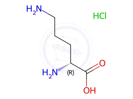 Chemical structure of D-Ornithine Hydrochloride