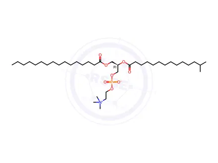 Chemical structure of 16:0-i15:0 PC