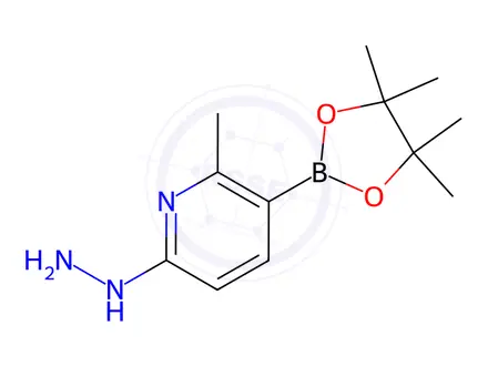 Chemical structure of 6-Hydrazinyl-2-methyl-3-(tetramethyl-1,3,2-dioxaborolan-2-yl)pyridine