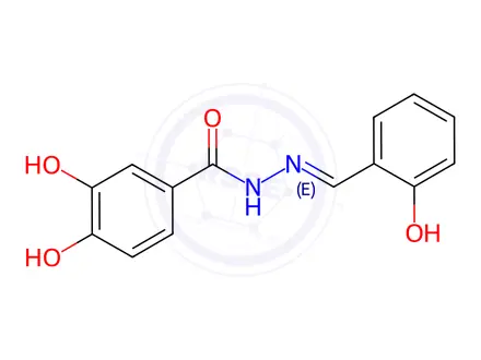 Chemical structure of 3,4-Dihydroxy-N'-[(Z)-(6-oxocyclohexa-2,4-dien-1-ylidene)methyl]benzohydrazide