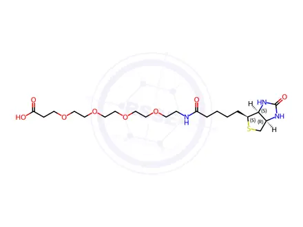 Chemical structure of Biotin-PEG4-OH