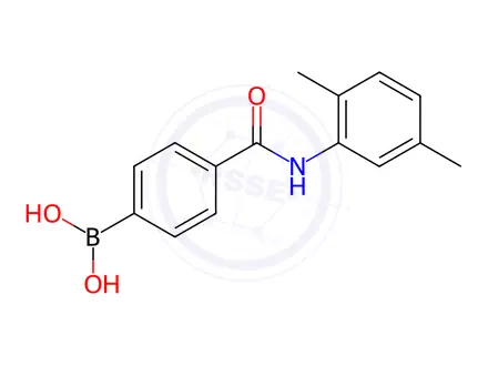 Chemical structure of (4-((2,5-Dimethylphenyl)carbamoyl)phenyl)boronic acid