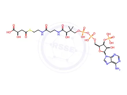 Chemical structure of Coenzyme A Impurity 34 (Malyl-CoA)