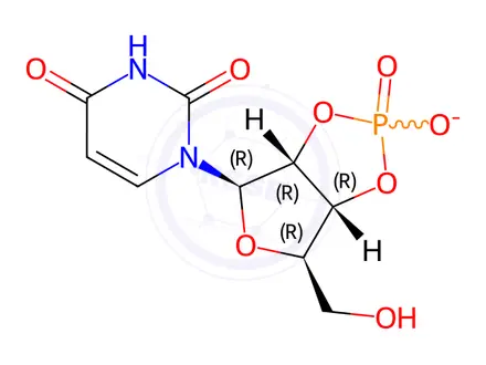 Chemical structure of Uridine-2',3'-cyclic Monophosphate Sodium Salt