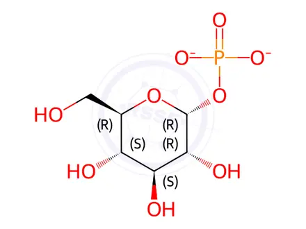 Chemical structure of α-D-Glucose-1-phosphate disodium salt