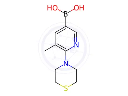 Chemical structure of (5-Methyl-6-thiomorpholinopyridin-3-yl)boronic acid