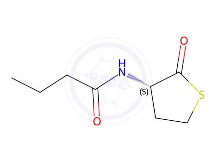 Chemical structure of (S)-N-(2-Oxotetrahydrothiophen-3-yl)butyramide