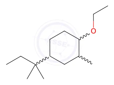 Chemical structure of Cyclohexane, 4-(1,1-dimethylpropyl)-1-ethoxy-2-methyl-(9CI)