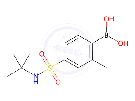 Chemical structure of (4-(n-(Tert-butyl)sulfamoyl)-2-methylphenyl)boronic acid
