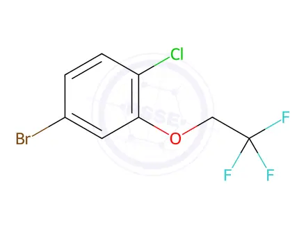 Chemical structure of 4-Bromo-1-chloro-2-(2,2,2-trifluoroethoxy)benzene