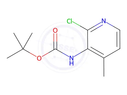 Chemical structure of tert-butyl 2-chloro-4-methylpyridin-3-ylcarbamate