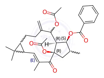 Chemical structure of 5,15-Diacetyl-3-benzoyllathyrol