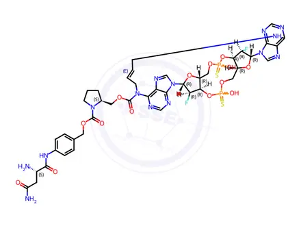 Chemical structure of Brigatinib D11