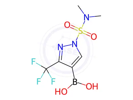 Chemical structure of Boronic acid, B-[1-[(dimethylamino)sulfonyl]-3-(trifluoromethyl)-1H-pyrazol-4-yl]-