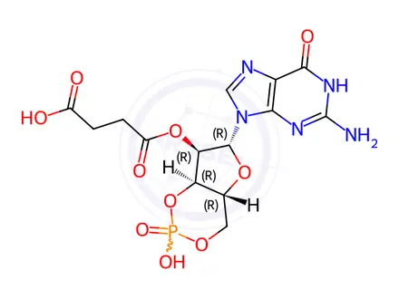 Chemical structure of guanosine cyclic 3',5'-(hydrogen phosphate) 2'-(hydrogen succinate)