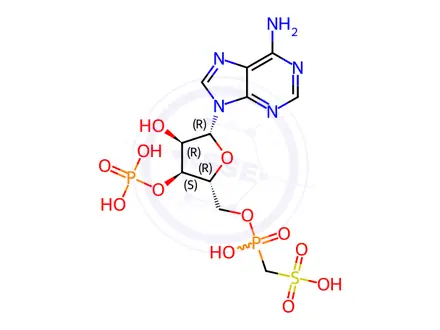 Chemical structure of adenosine 3'-phosphate 5'-methylenephosphosulfate