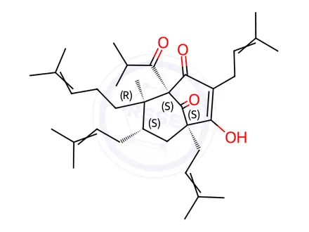 Chemical structure of Hyperforin Dicyclohexylammonium Salt