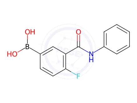Chemical structure of (4-Fluoro-3-(phenylcarbamoyl)phenyl)boronic acid