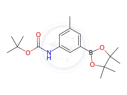 Chemical structure of TERT-BUTYL N-[3-METHYL-5-(TETRAMETHYL-1,3,2-DIOXABOROLAN-2-YL)PHENYL]CARBAMATE