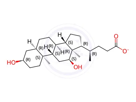 Chemical structure of Sodium Deoxycholate Monohydrate