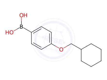 Chemical structure of (4-(Cyclohexylmethoxy)phenyl)boronic acid