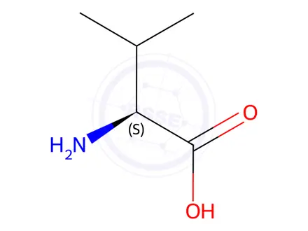 Chemical structure of L-Valine