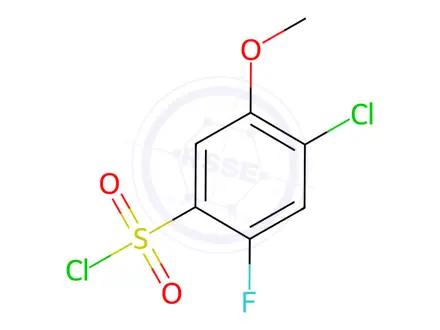Chemical structure of 4-Chloro-2-fluoro-5-methoxybenzenesulfonyl chloride