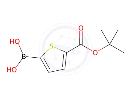 Chemical structure of 5-tert-Butoxycarbonylthiophene-2-boronic Acid