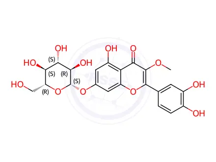 Chemical structure of 3-O-Methylquercetin 7-O-β-D-glucopyranoside