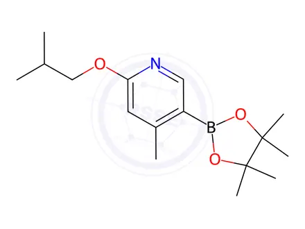 Chemical structure of 2-isobutoxy-4-Methyl-5-(4,4,5,5-tetraMethyl-1,3,2-dioxaborolan-2-yl)pyridine