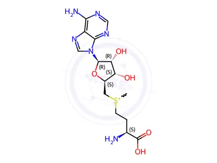 Chemical structure of ((S)-3-Amino-3-carboxypropyl)(((2S,3S,4R,5R)-5-(6-amino-9H-purin-9-yl)-3,4-dihydroxytetrahydrofuran-2-yl)methyl)(methyl)sulfonium Chloride Dihydrochloride