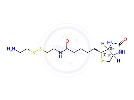 Chemical structure of Biotin-SS-Amine HCl Salt