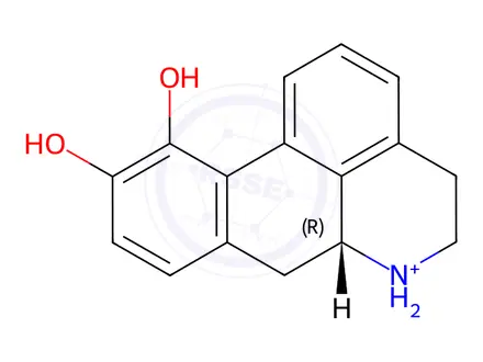 Chemical structure of R-(-)-Norapomorphine Hydrochloride (1.0mg/ml in Methanol)