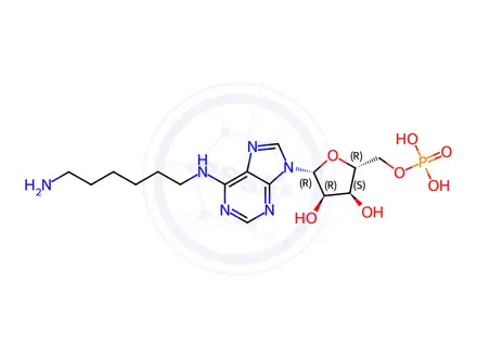 Chemical structure of N(sup 6)(6-aminohexyl)adenosine 5'-monophosphate, sodium