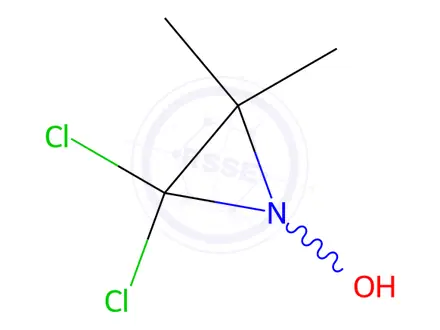 Chemical structure of Aziridine, 2,2-dichloro-1-hydroxy-3,3-dimethyl-(9CI)