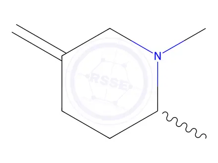 Chemical structure of Piperidine, 1,2-dimethyl-5-methylene-(9CI)