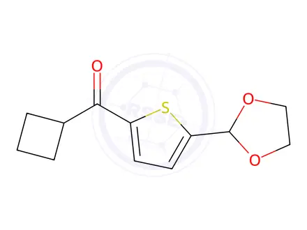 Chemical structure of (5-(1,3-Dioxolan-2-yl)thiophen-2-yl)(cyclobutyl)methanone