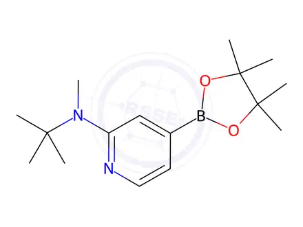 Chemical structure of N-tert-butyl-N-methyl-4-(4,4,5,5-tetramethyl-1,3,2-dioxaborolan-2-yl)pyridin-2-amine