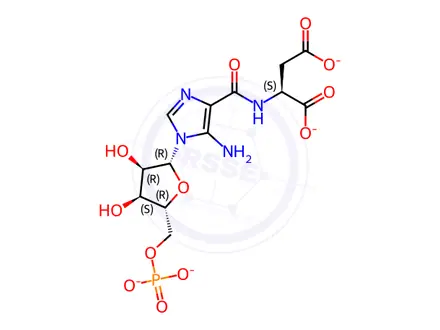Chemical structure of N-Succinyl-5-aminoimidazole-4-carboxamide Ribose 5'-Phosphate Dibarium Salt