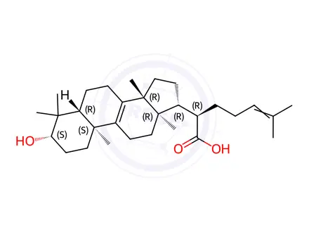 Chemical structure of Trametenolic acid
